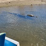 Photo taken by Garritt V