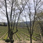 Photo taken by Paul M