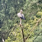 Photo taken by Mylan L