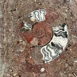 Photo taken by Colin M