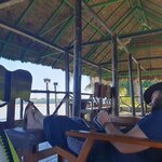 Photo taken by Bree J