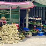 Photo taken by Jacqui O