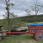 Photo taken by Roveen B