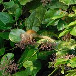 Photo taken by Steven M