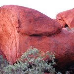 Photo taken by Sean M