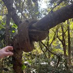 Photo taken by Bailey W