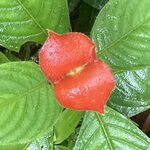 Photo taken by Nancy L