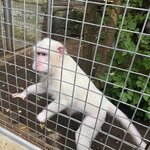 Photo taken by Mariah C