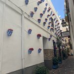 Photo taken by Ellyn A