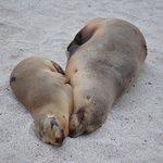 Photo taken by Natascia V