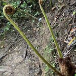 Photo taken by Patrice G