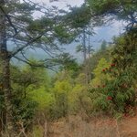 Photo taken by Jane G