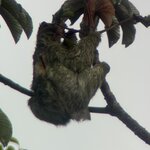 Photo taken by katie u