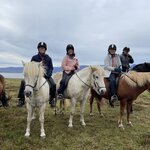 Photo taken by Nan K