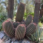 Photo taken by Paula H