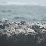 Photo taken by Ben S