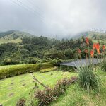 Photo taken by Carine D