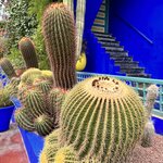 Photo taken by Becky S