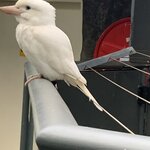 Photo taken by Julie H