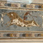 Photo taken by Robin S