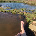 Photo taken by Daniel K