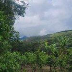 Photo taken by Emelyn J