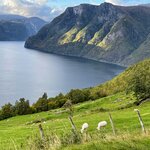 Photo taken by Anita H