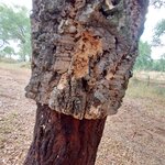 Photo taken by Mollie D