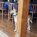 Photo taken by Cynthia C