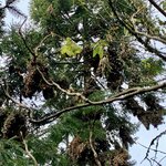 Photo taken by Barbara V