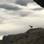 Sentinel keeping watch | Photo taken by Dave E