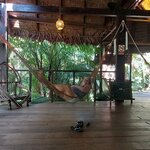 Photo taken by Karen P