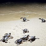 Photo taken by Rob C