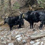 Photo taken by Willow K