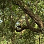 Photo taken by Joy E