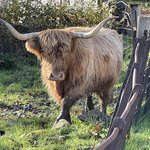 Photo taken by David L