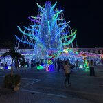 Photo taken by Nicole G