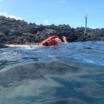 Photo taken by Narasimhachar P