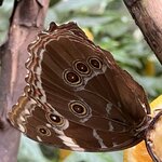 Photo taken by Andrew S