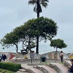 Photo taken by Agni K