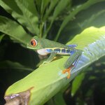 Photo taken by Kim L