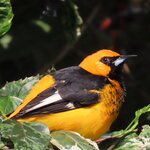 Photo taken by Mark B