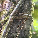 Photo taken by Chris G