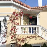 Photo taken by Shawn G