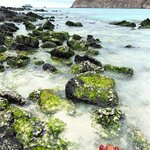 Photo taken by Maggie K