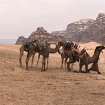 Photo taken by Marion M