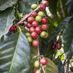 Photo taken by Linda W