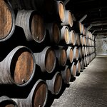 Photo taken by Steven C