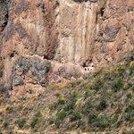 Photo taken by Alexandria T