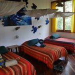 Another sweet room | Photo taken by Sheila R